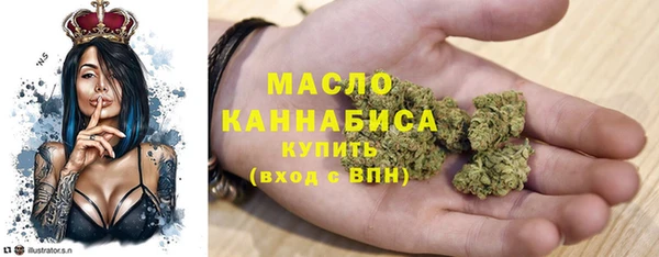 СК Ельня
