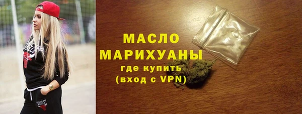 СК Ельня