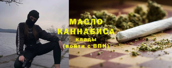 СК Ельня