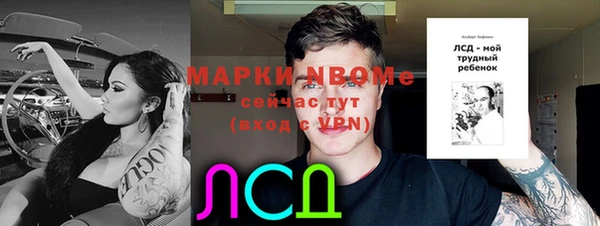 СК Ельня