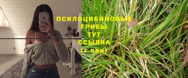 мдма Заводоуковск