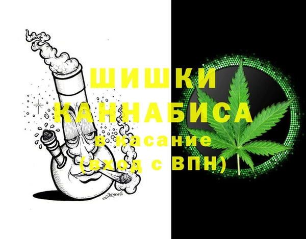 СК Ельня