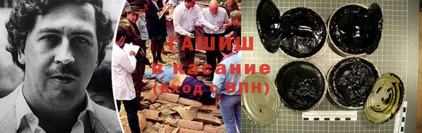 СК Ельня