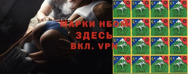 СК Ельня