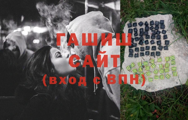СК Ельня