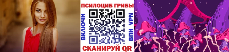 где найти   Салехард  Псилоцибиновые грибы мицелий 